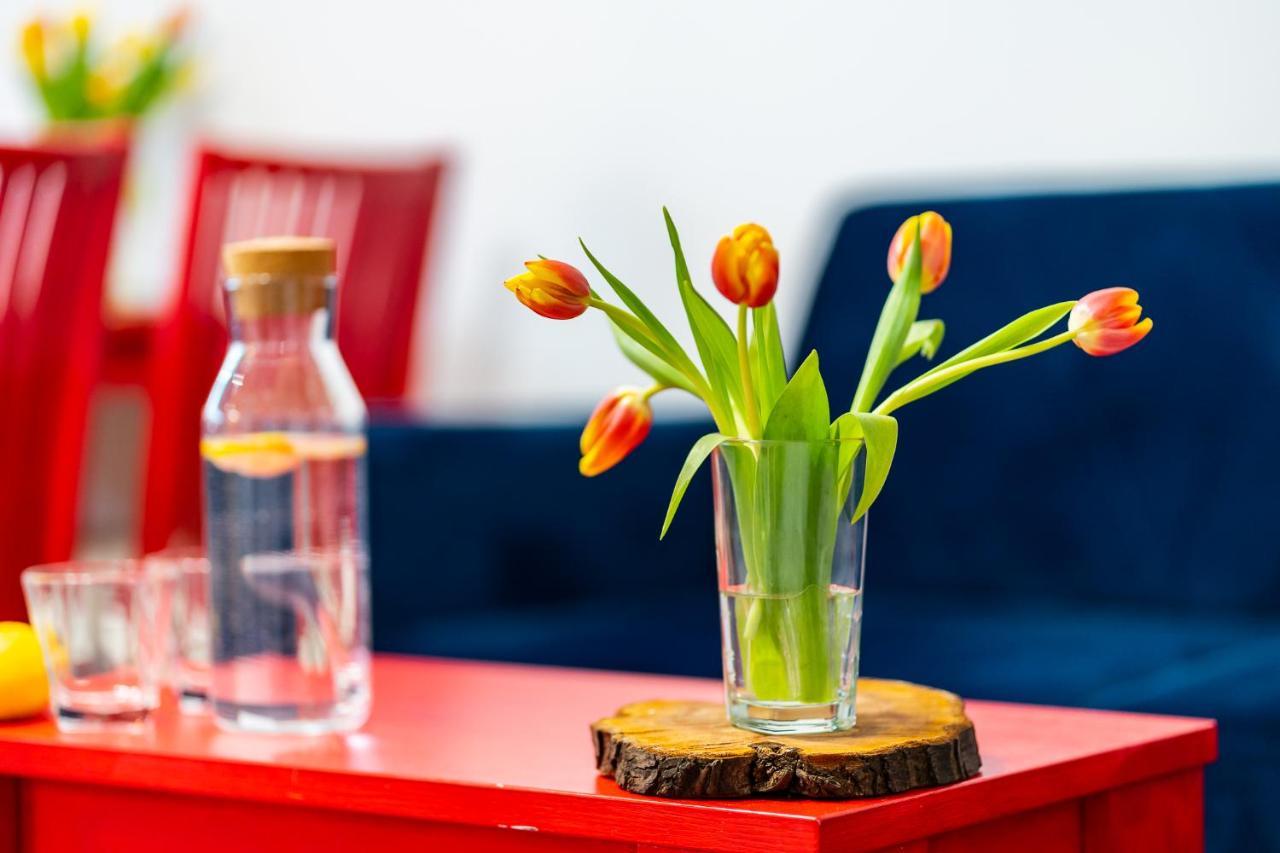Apartament Poludniowy Ruda Slaska Esterno foto